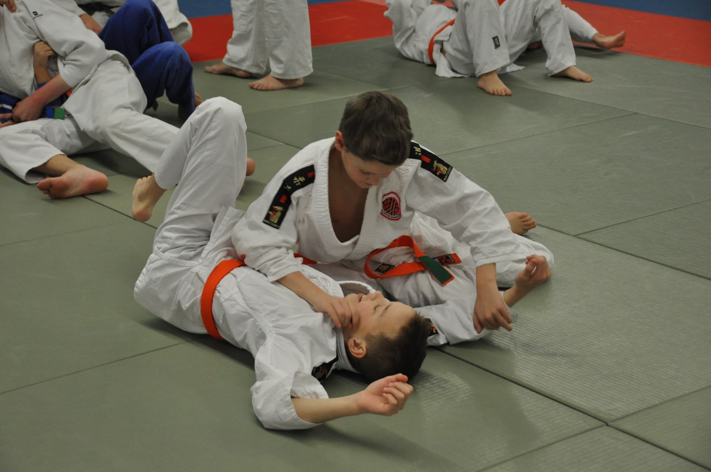 Judoclub Michigami