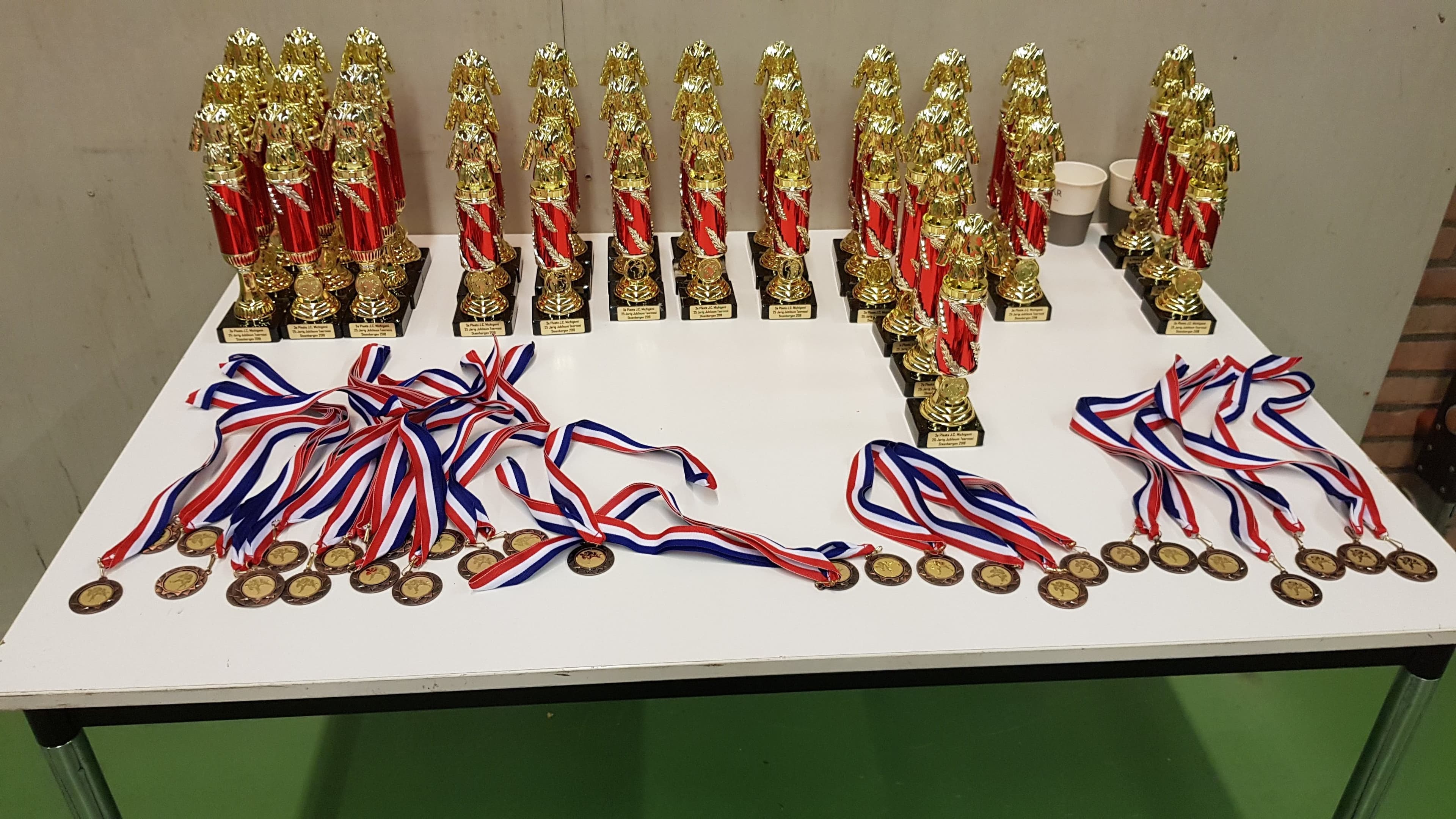 Judoclub Michigami