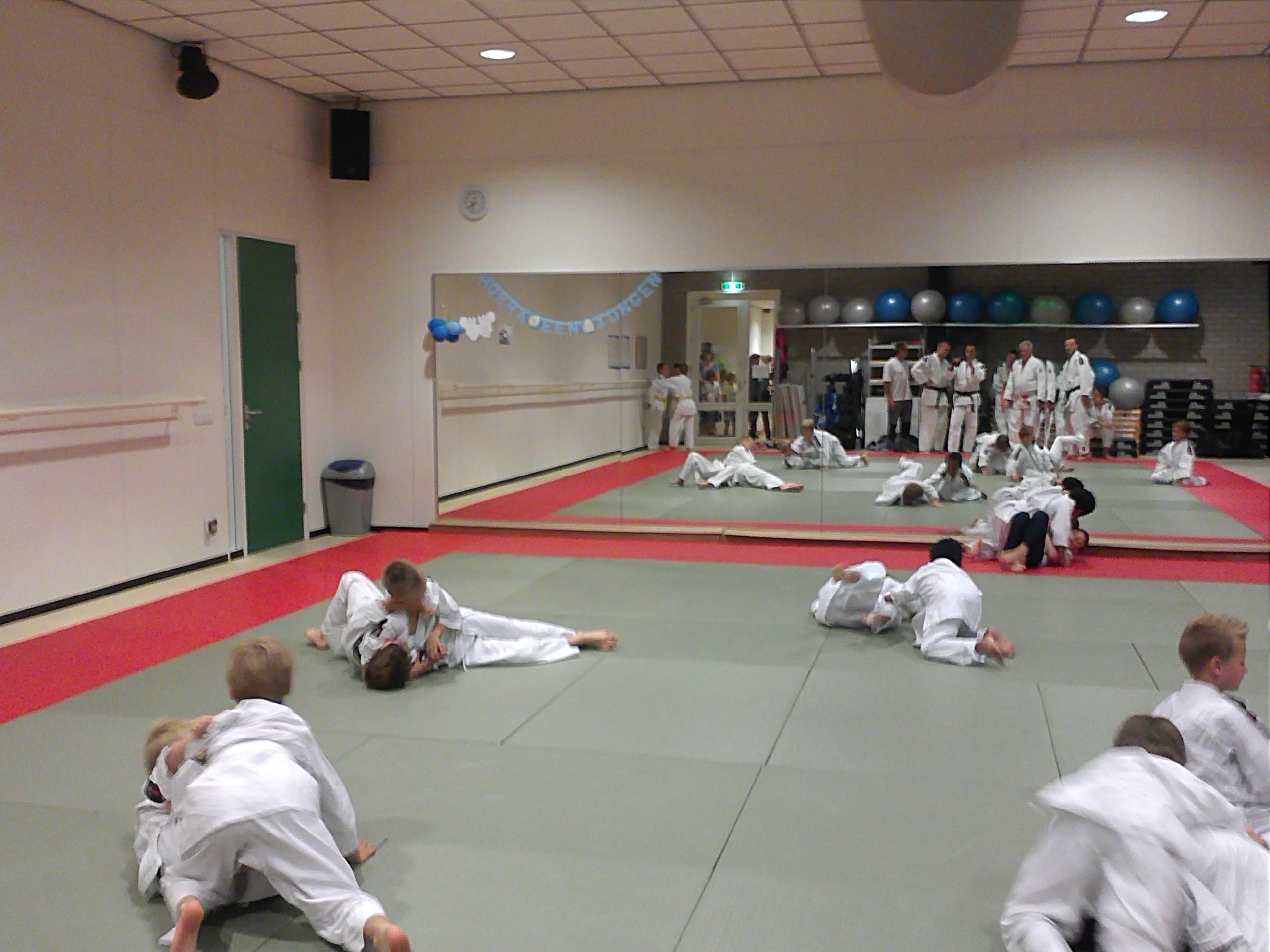 Judoclub Michigami